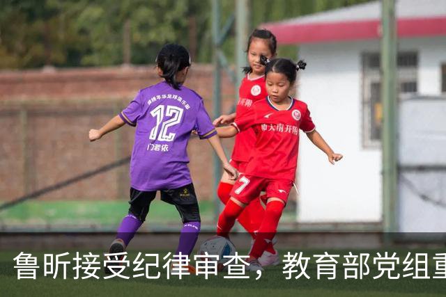 鲁昕接受纪律审查，教育部党组重申坚持反腐决心